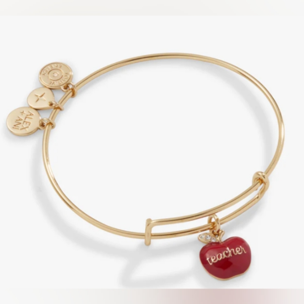 Alex and Ani Gold Tone Metal Charm Bracelet bangle teacher appreciation gift